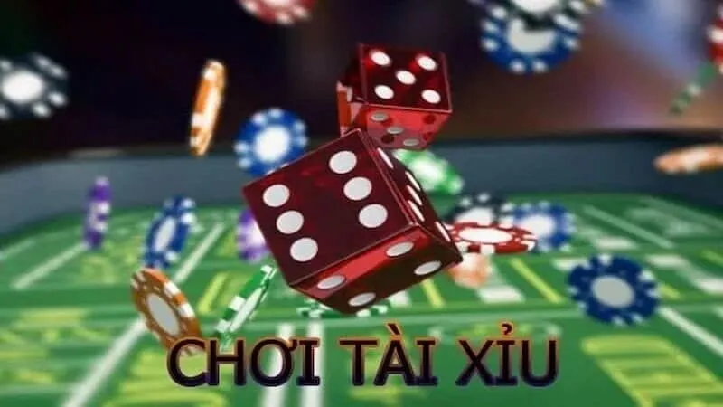 Các dạng cầu tài xỉu phổ biến hiện nay